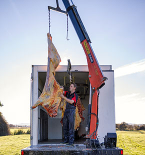 Back view of home kill truck with meat hung off crane.